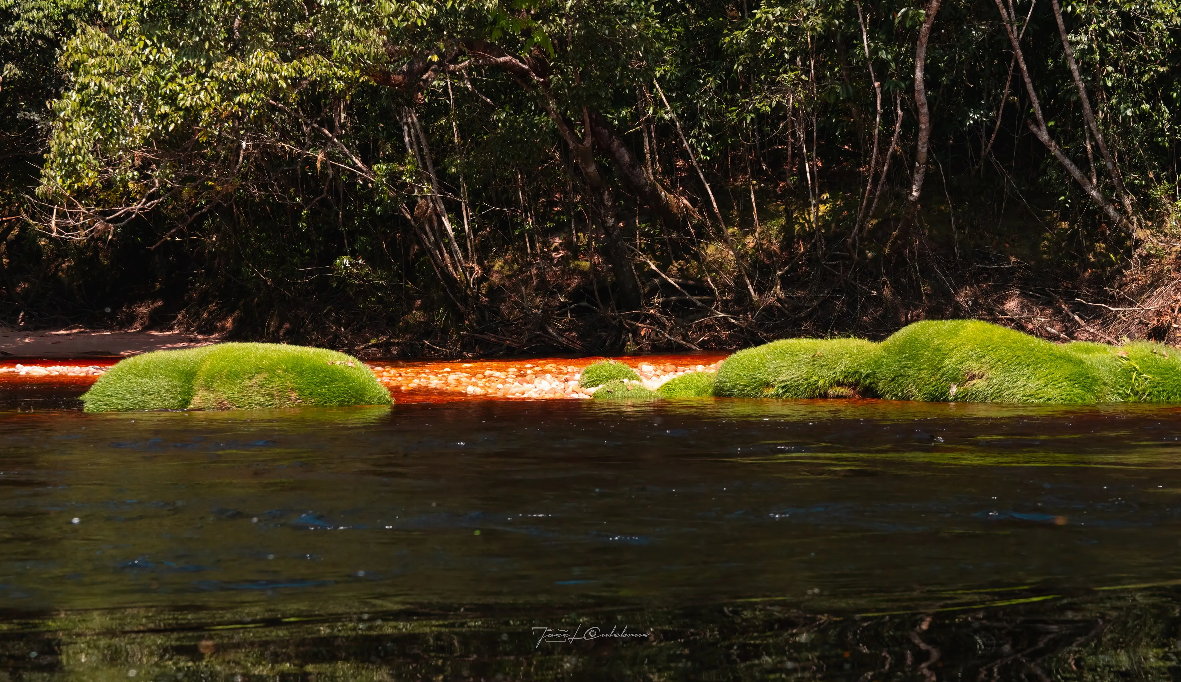 Canaima