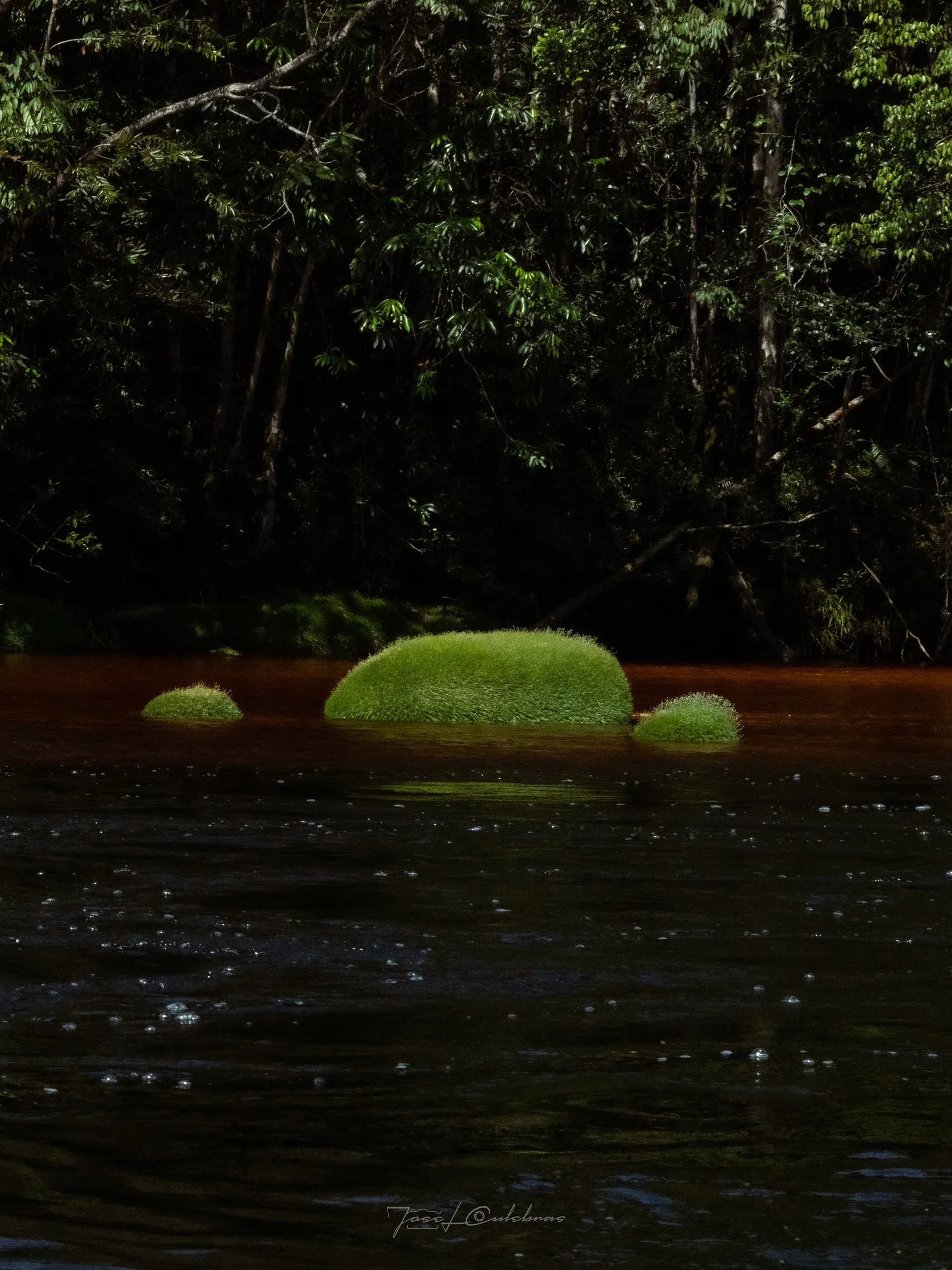 Canaima