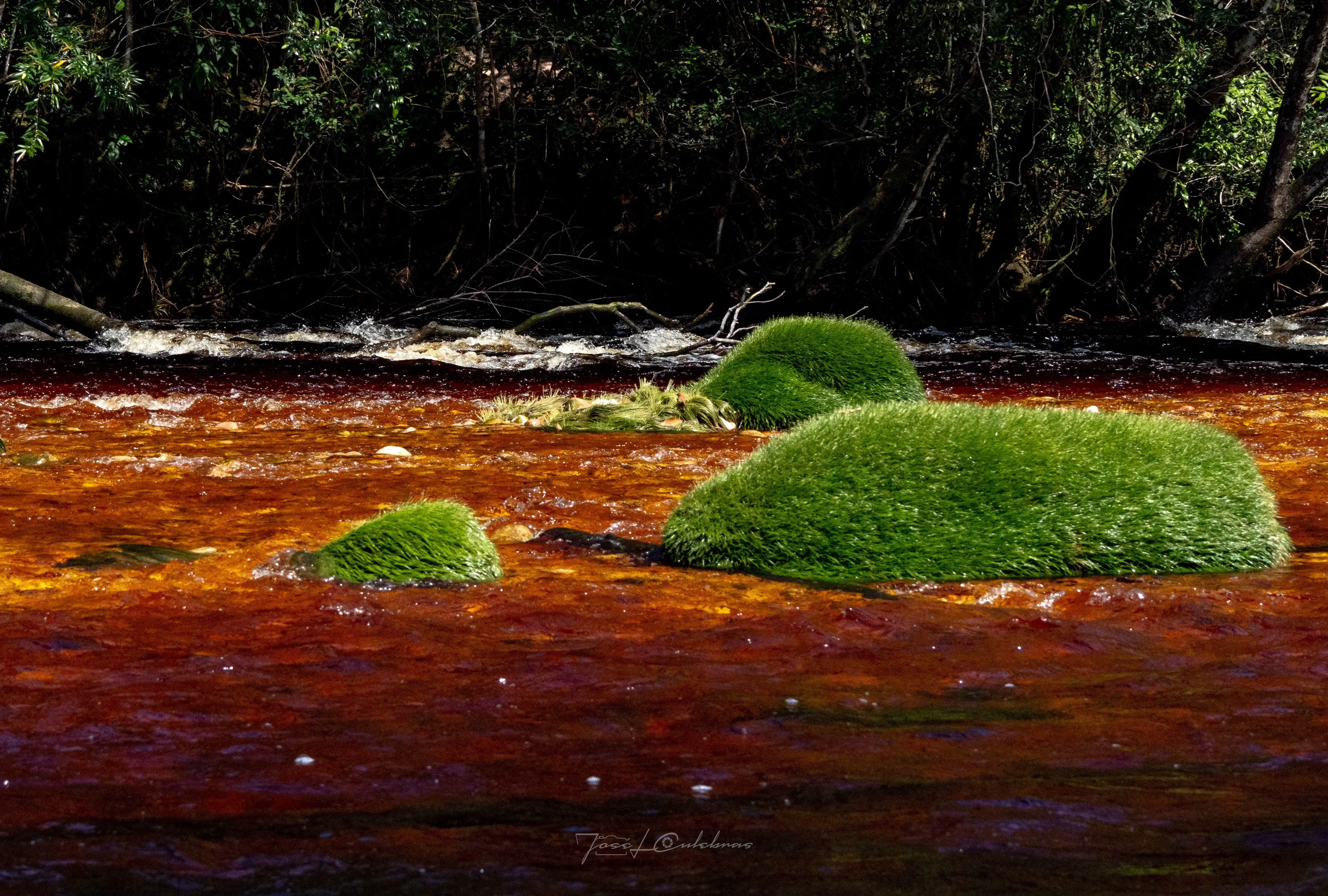 Canaima