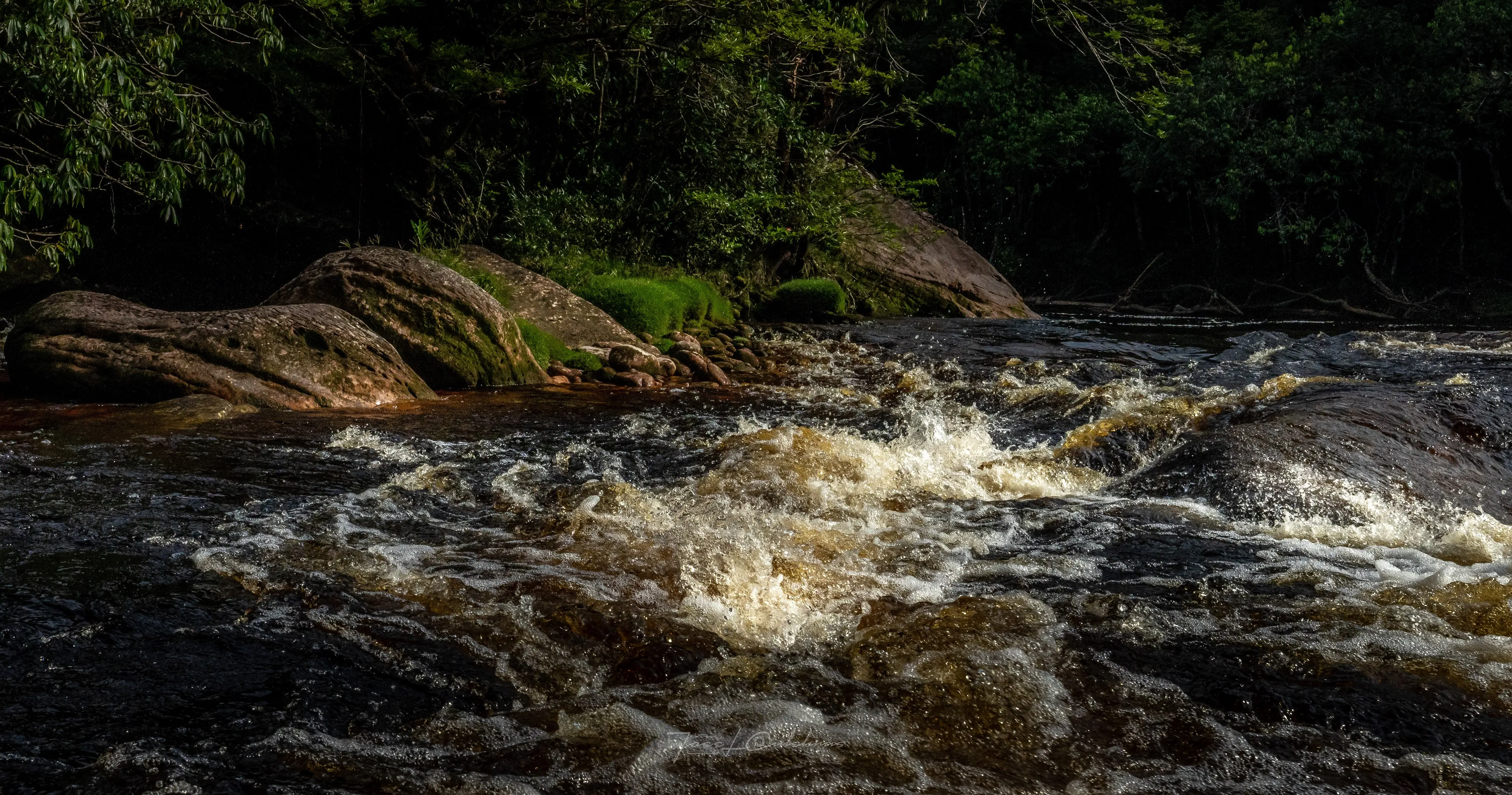 Canaima