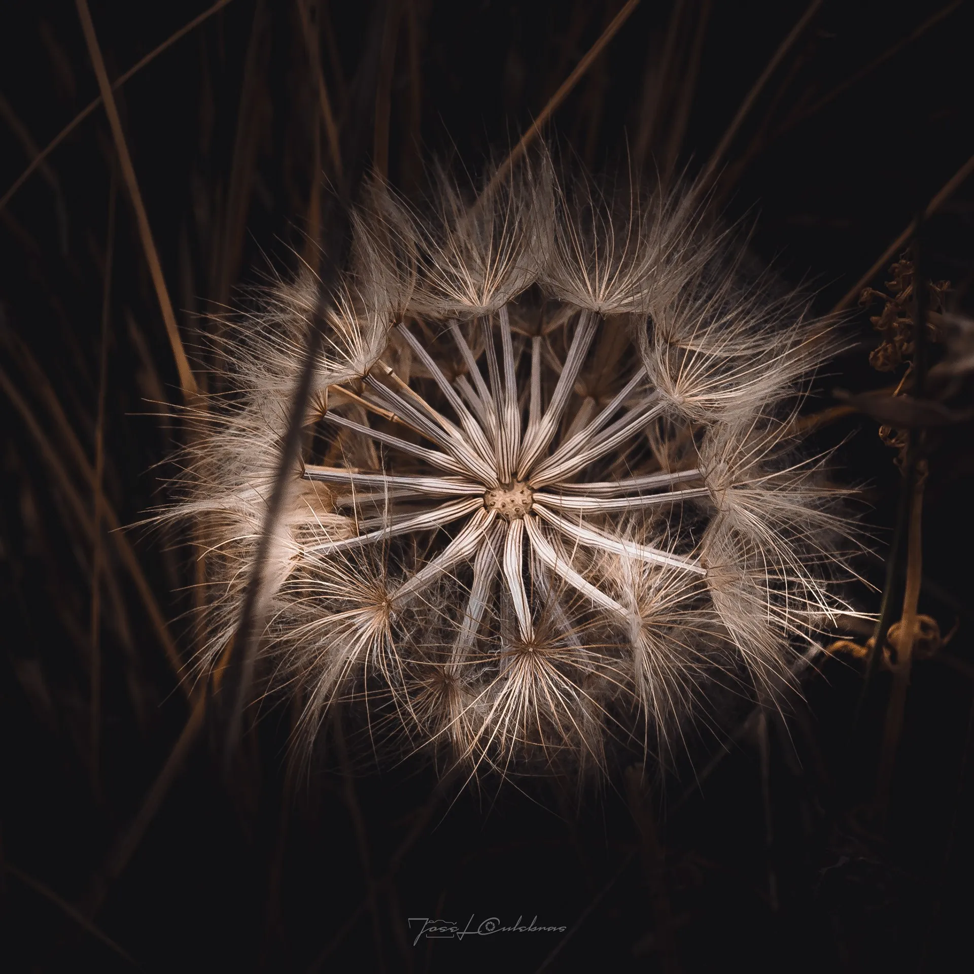 Macro
