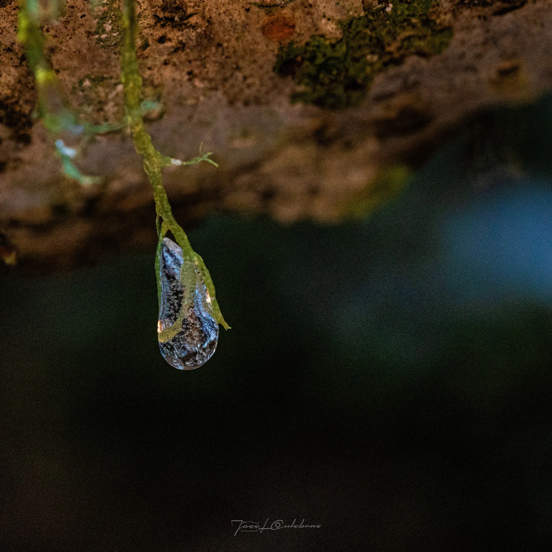 Macro