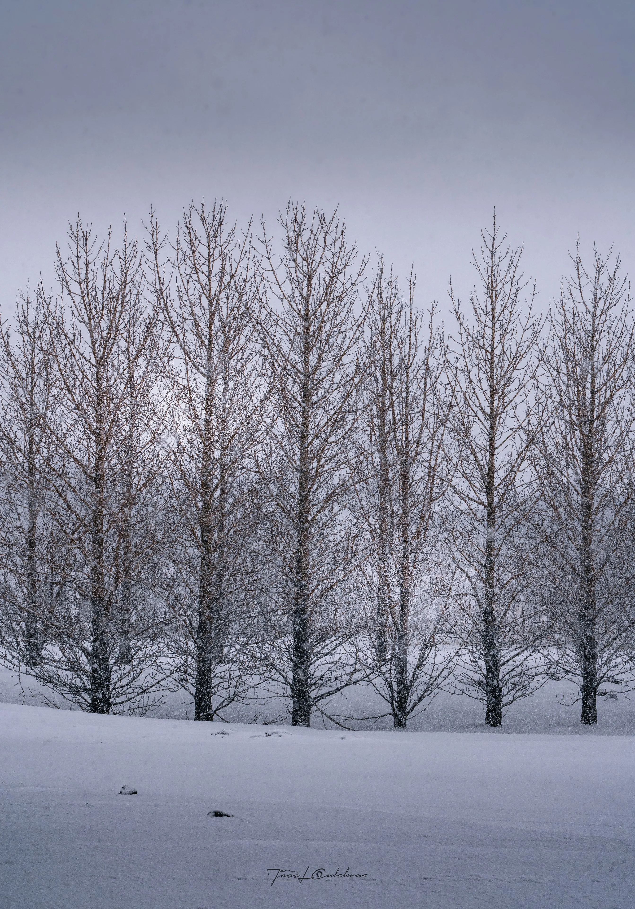 Islandia