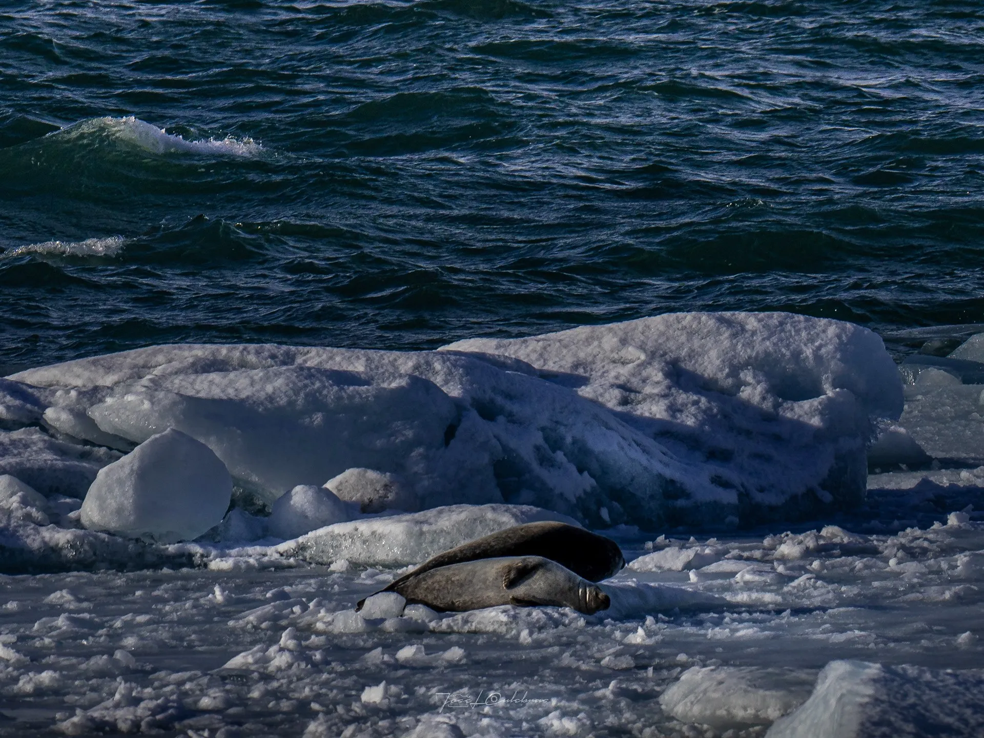 Islandia