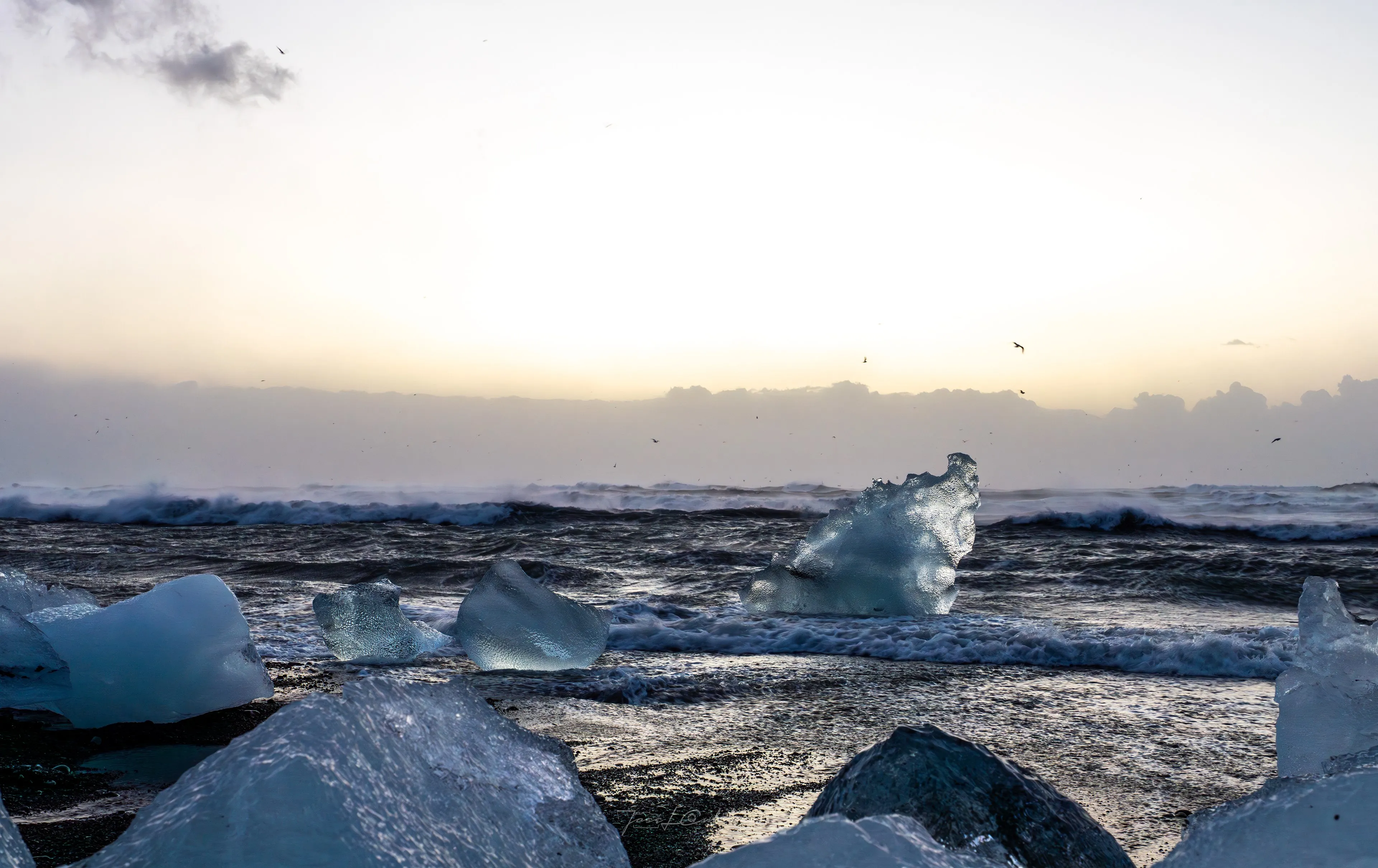 Islandia
